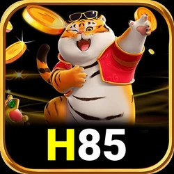 h85